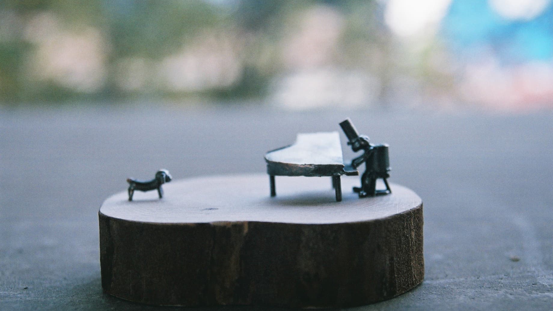 コイズミタダシ